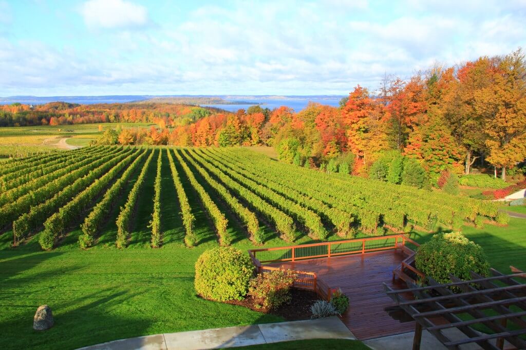 winery tours in traverse city