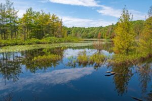 A tranquil seasonal pond at Muskegon State Park in West Michigan.