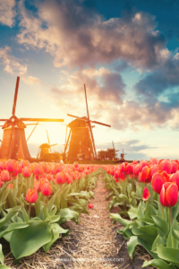 Spring Getaway Ideas: Visit Holland for the May Tulip Time Festival