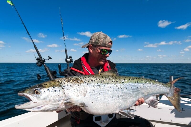 Lake Michigan Charters: An avid angler smiles while holding a massive salmon.